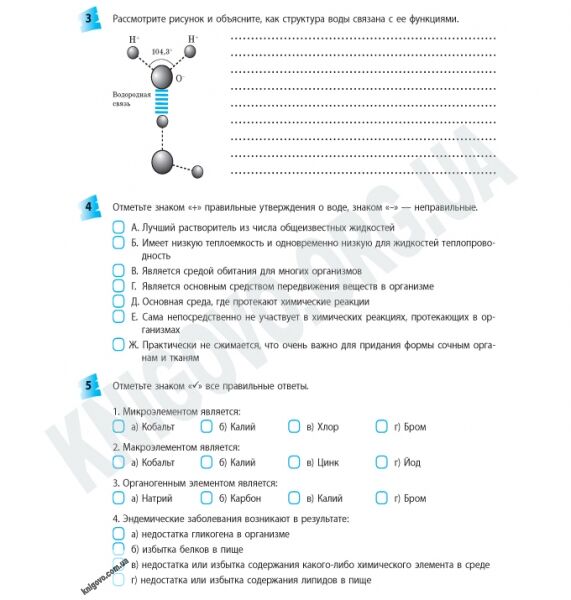 Рабочая тетрадь Биология 10 класс Стандарт Академ Авт: Котик Т. Таглина О. Вид-во: Ранок - фото 3