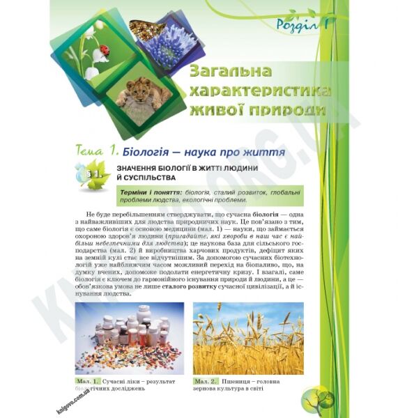 Підручник Біологія 10 клас Профільний рівень Авт: Межжерін С. Межжеріна Я. Коршевнюк Т. Вид-во: Школяр - фото 2