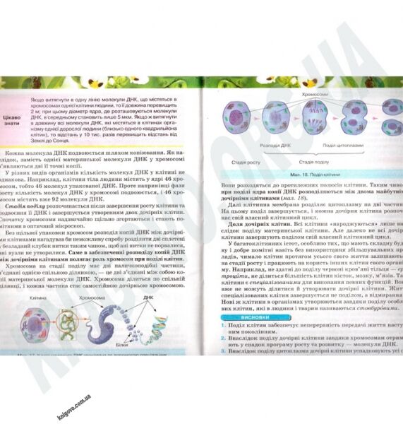 Підручник Біологія 6 клас Нова програма Авт: Костіков І. Вологін С. Додь В. Сиволоб А. Довгаль І. Вид-во: Освіта - фото 5