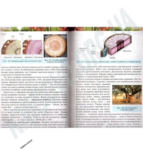 Підручник Біологія 6 клас Нова програма Авт: Костіков І. Вологін С. Додь В. Сиволоб А. Довгаль І. Вид-во: Освіта - фото 6