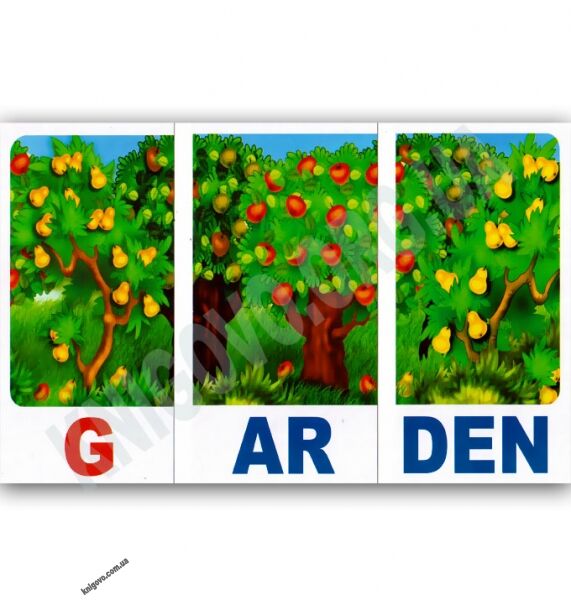 Набір карток Англійська мова 4 рівень Читаємо C, G, SH, CH, PH Вид-во: Ранок - фото 2