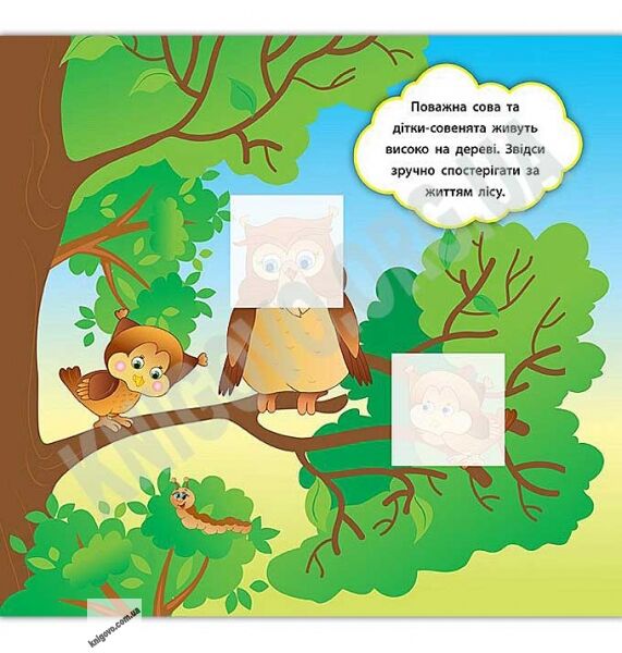 Хто живе в лісі Наліпки-розвивалки 2+ Авт: Смирнова К. Вид: УЛА - фото 3