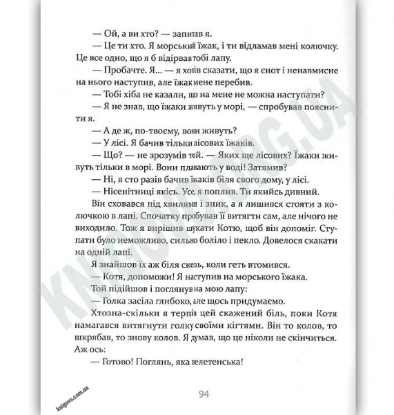 Єнотик Бо і повітряна куля Авт: Лазуткіна І. Видавництво Старого Лева - фото 3