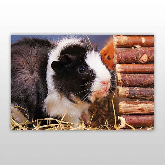 Мини-пазл 54 элемента Грызуны Бумагия - фото 3