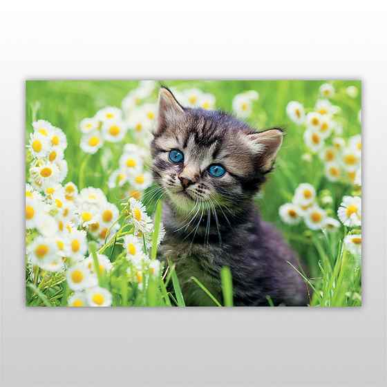 Мини-пазл 54 элемента Код: PZ-1506 Кошки и котята Бумагия - фото 3