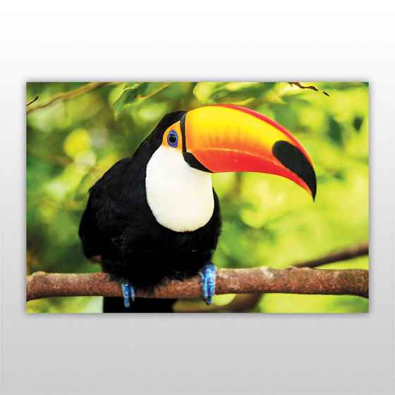 Мини-пазл 54 элемента Тукан Птицы Бумагия - фото 3