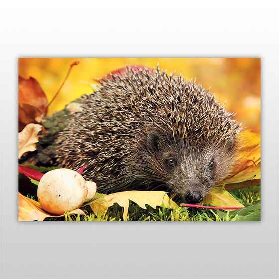 Игра пазл Лесные хищники 120 эл., Ёжик - фото 2