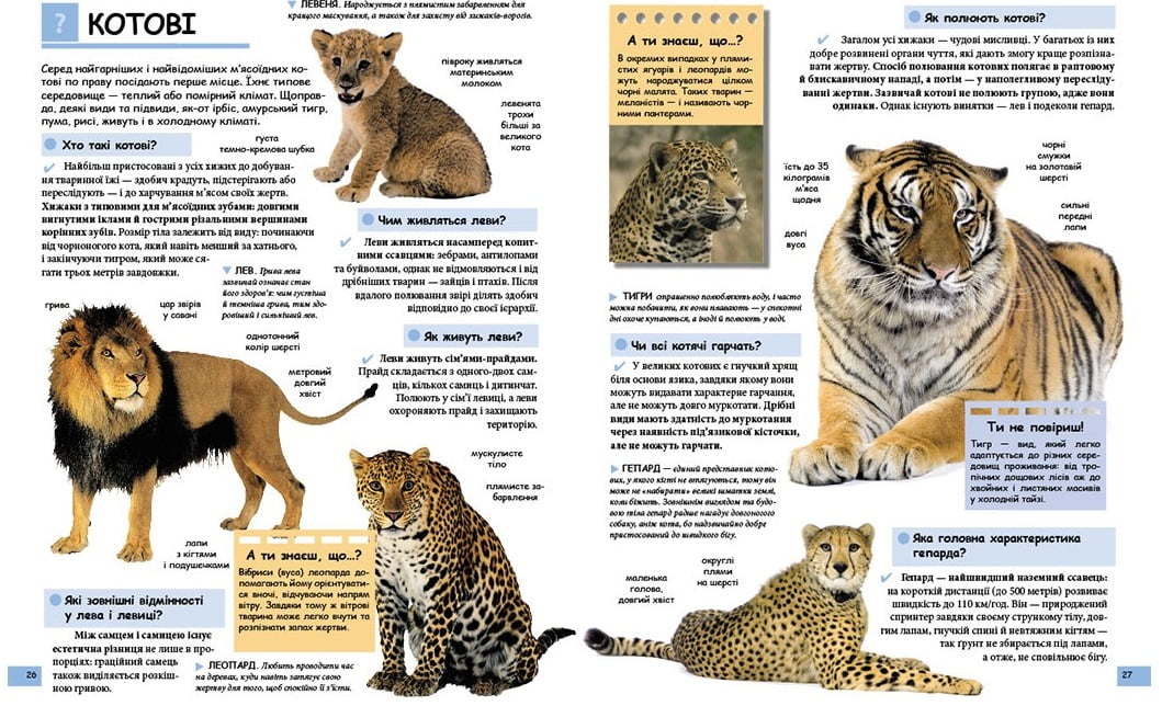 Ілюстрована дитяча енциклопедія у запитаннях і відповідях. Вид-во: Пегас - фото 2