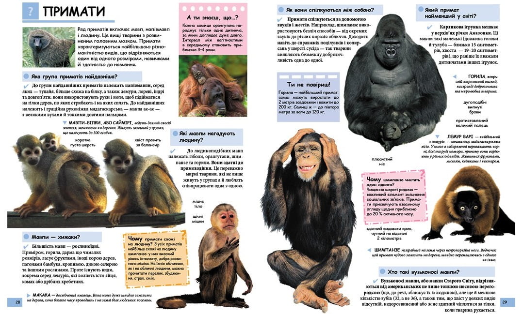 Ілюстрована дитяча енциклопедія у запитаннях і відповідях. Вид-во: Пегас - фото 3