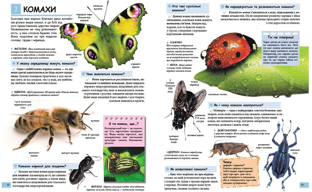 Ілюстрована дитяча енциклопедія у запитаннях і відповідях. Вид-во: Пегас - фото 4