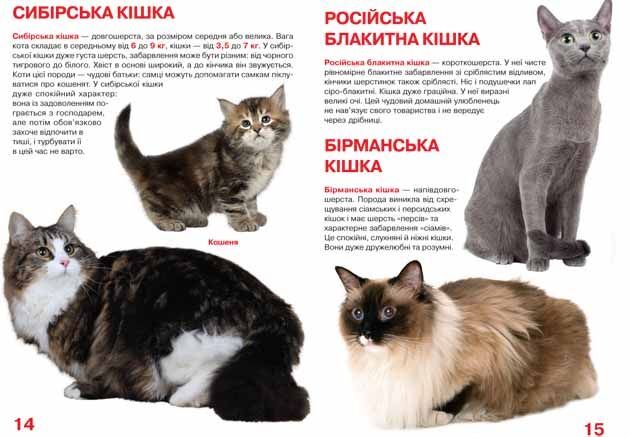 Велика книжка. Кішки - фото 3