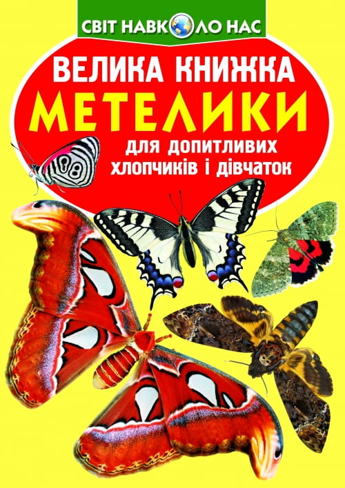 Велика книжка. Метелики - фото 1