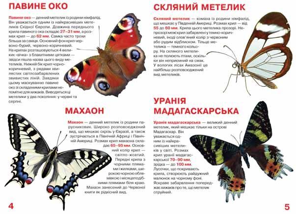 Велика книжка. Метелики - фото 2