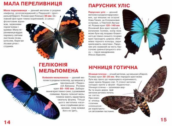 Велика книжка. Метелики - фото 3