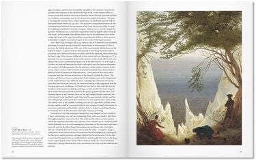 FRIEDRICH - BA(SC)(GB) - фото 4