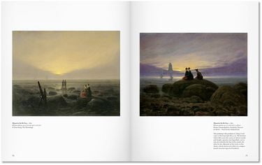 FRIEDRICH - BA(SC)(GB) - фото 5