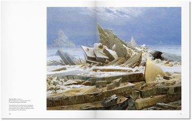 FRIEDRICH - BA(SC)(GB) - фото 6