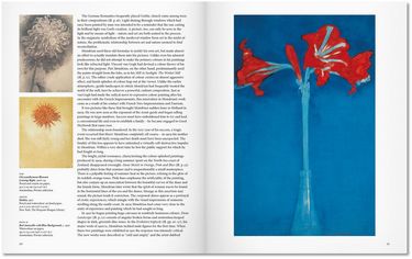 MONDRIAN PIET - BA (SC)(GB) - фото 3