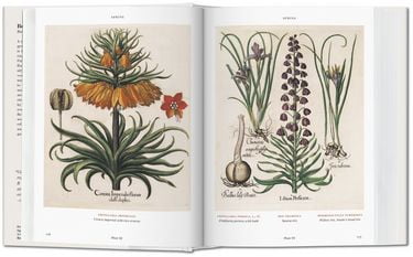bu- BOOK OF PLANTS-FLORILEGIUM - BU - фото 4