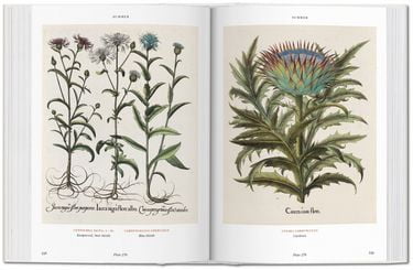 bu- BOOK OF PLANTS-FLORILEGIUM - BU - фото 5