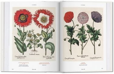 bu- BOOK OF PLANTS-FLORILEGIUM - BU - фото 6