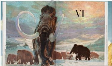 PALEOART:VISIONS OF THE PREHIST - фото 6