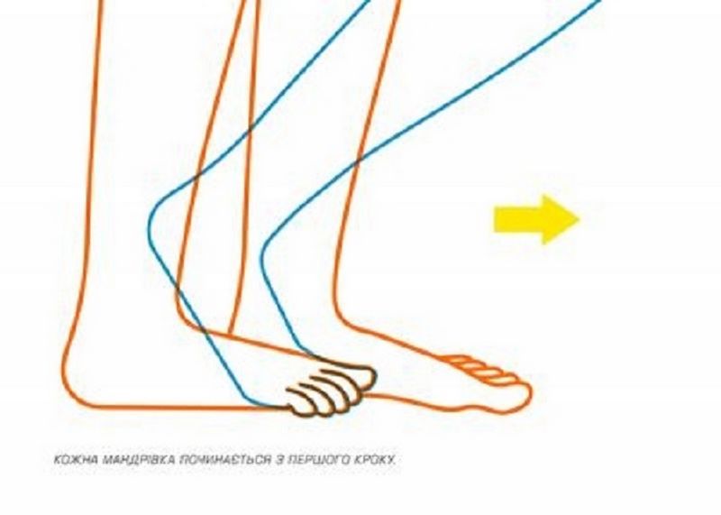 Куди і звідки? - фото 5