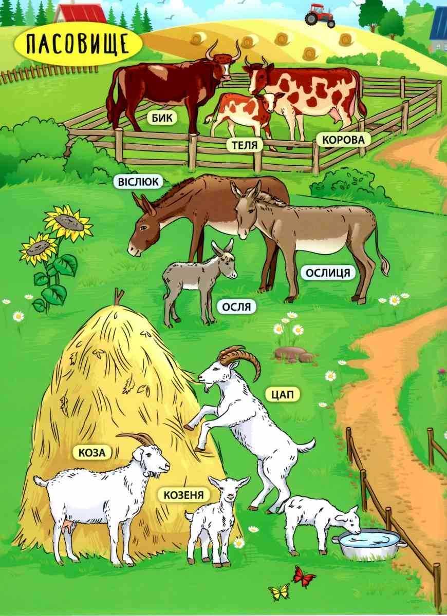 Енциклопедія з наліпками Свійські тварини Смирнова К. УЛА - фото 2