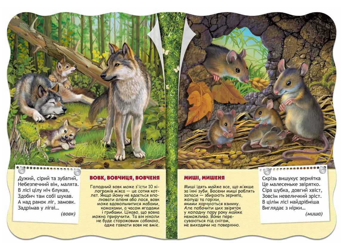 Книжка-картонка Лісові тварини Малятко-розумнятко В. Федієнко Школа - фото 2