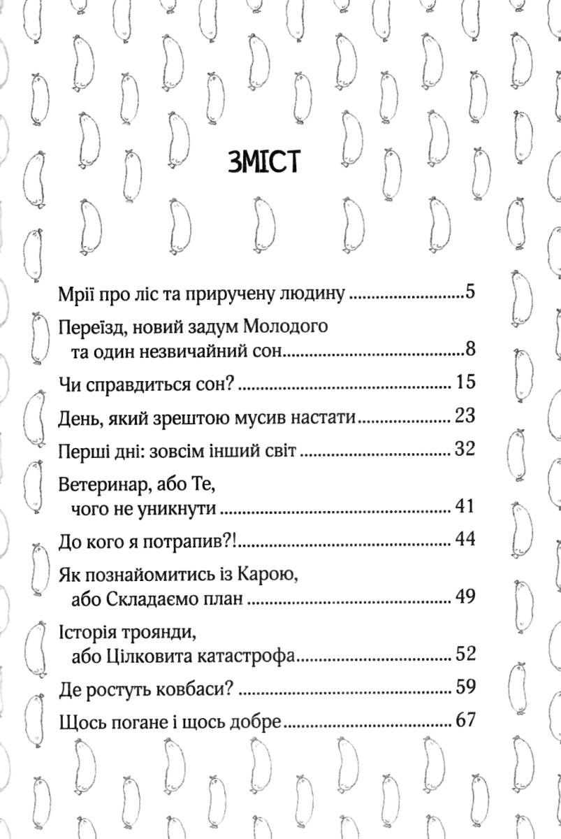 Ключик до Ельфа Марцін Палаш Школа - фото 2