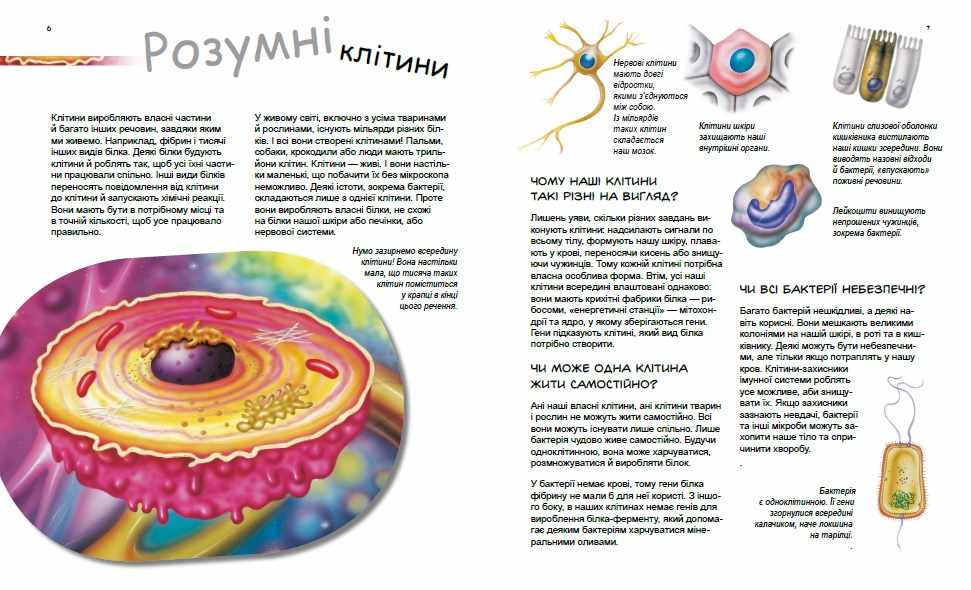 Геніальні гени Генетика для дітей Патрік А. Ранок - фото 2