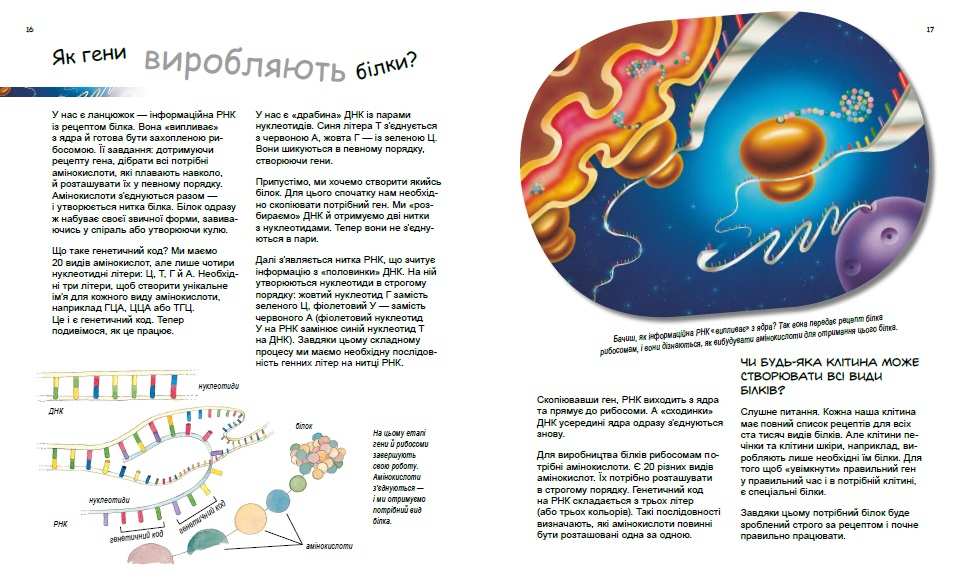 Дивовижний світ клітин Генетика для дітей Патрік А. Ранок - фото 2