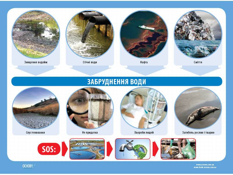 Комплект двосторонніх плакатів Оберігаймо природу (4шт). Наочність - фото 2