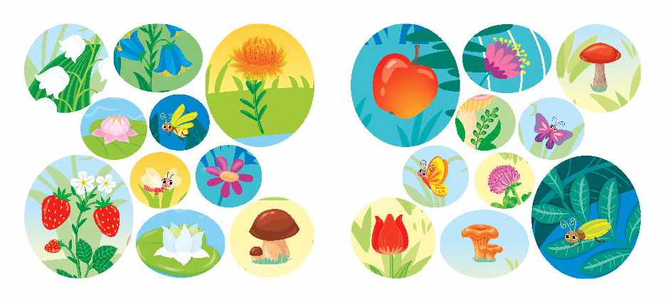 Назви Розфарбуй Наклей Кружляю та повзаю 3+ УЛА - фото 3