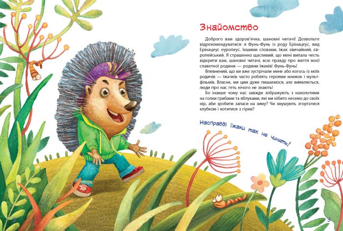 Пан Їжак Каскад-С Ранок - фото 3