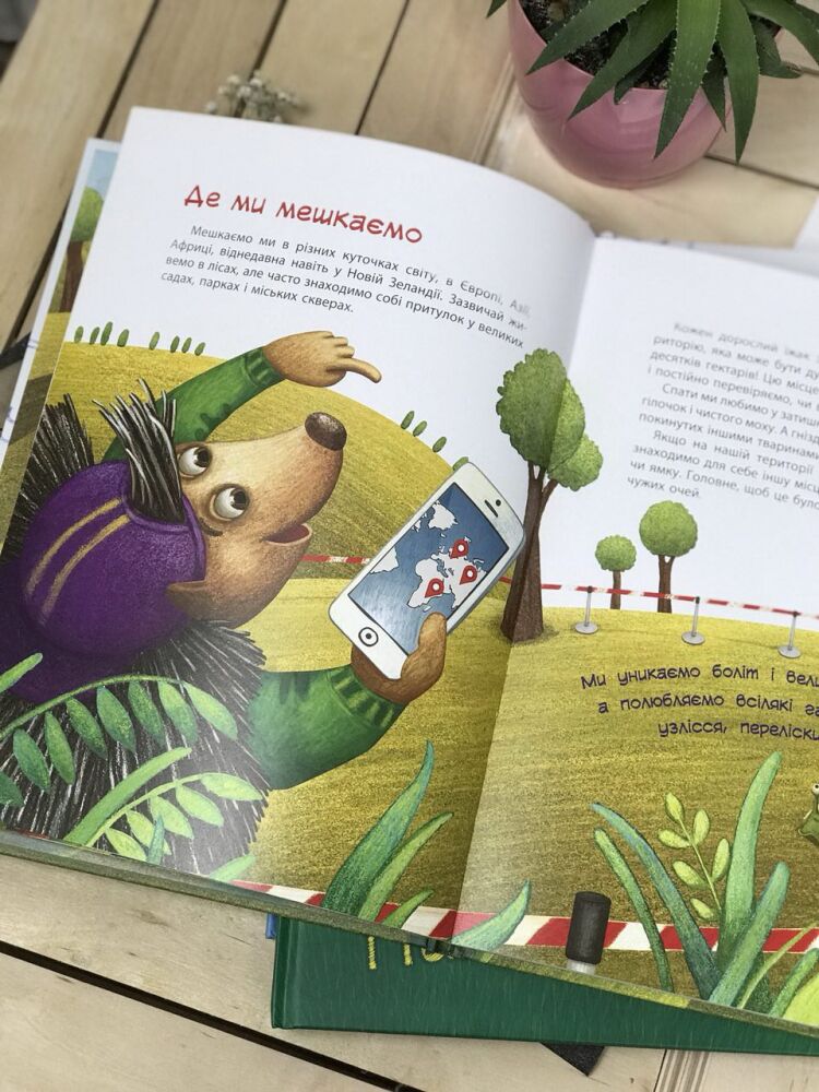 Пан Їжак Каскад-С Ранок - фото 4