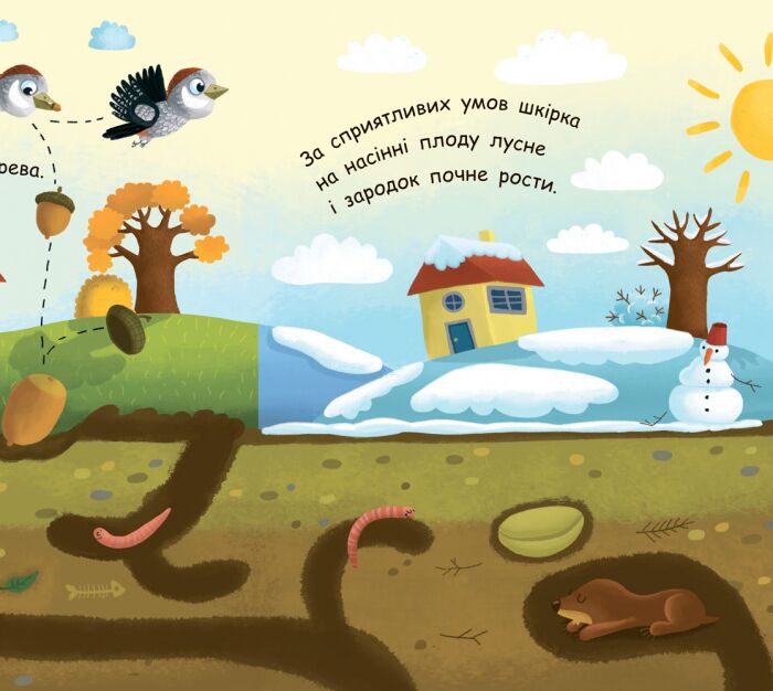 Як виростає дерево? - фото 5