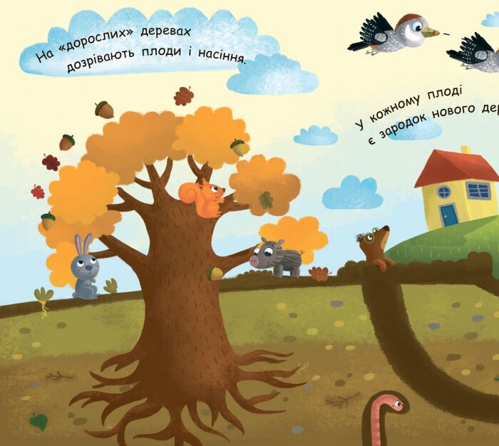 Як виростає дерево? - фото 6