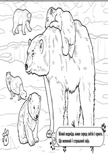 У далеких країнах - фото 2