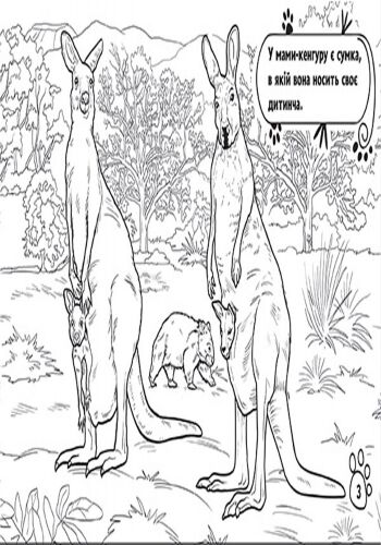 У далеких країнах - фото 3