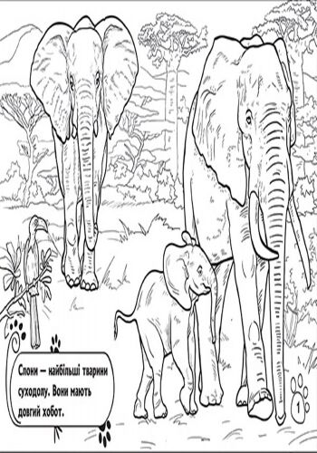 У далеких країнах - фото 5