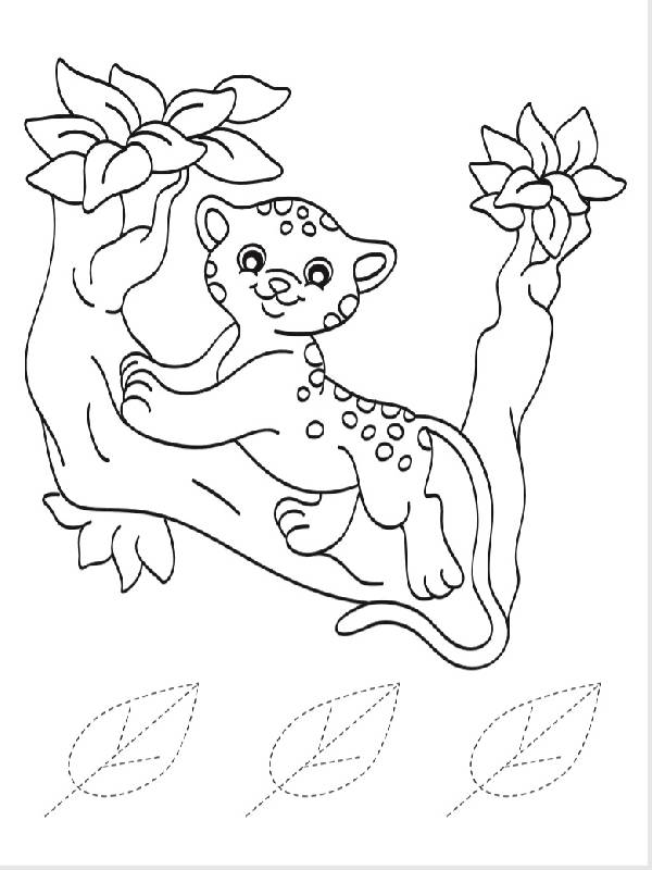 Леопард і компанія - фото 2