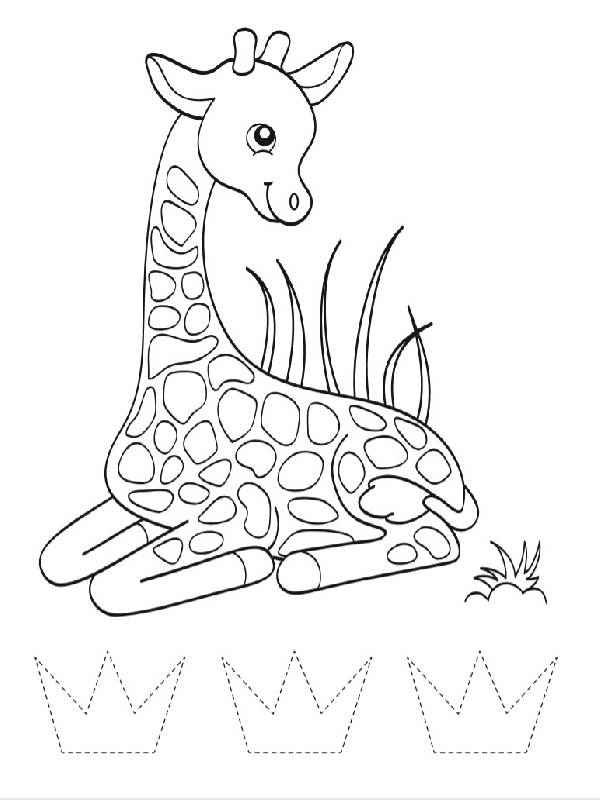 Леопард і компанія - фото 3