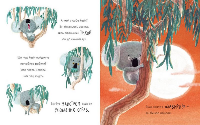 Як коалу гуляти викликали - фото 4