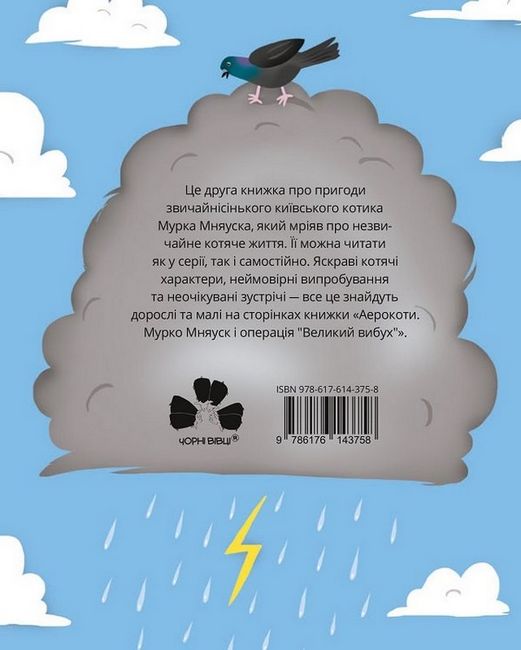 Аерокоти. Мурко Мняуск і операція «Великий вибух» - фото 6