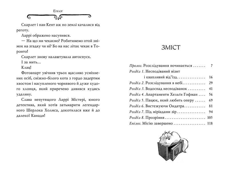 Агата Містері. Книга 4. Крадіжка на Ніагарському Водоспаді - фото 5