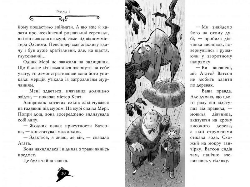 Агата Містері. Книга 17. Операція «Джунглі» - фото 5