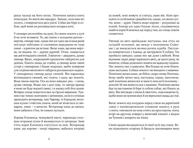 Сец Нер - фото 5