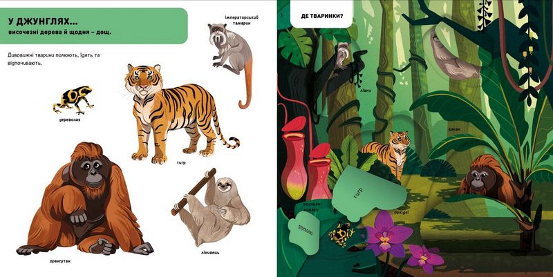 DOC Секрети. Тварини джунглів - фото 2