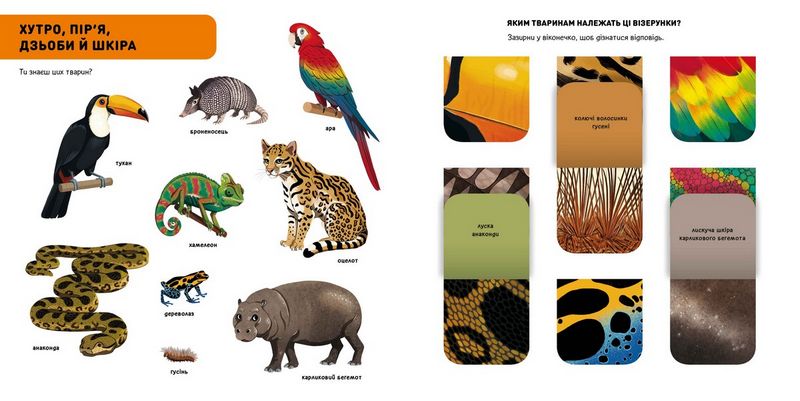 DOC Секрети. Тварини джунглів - фото 3